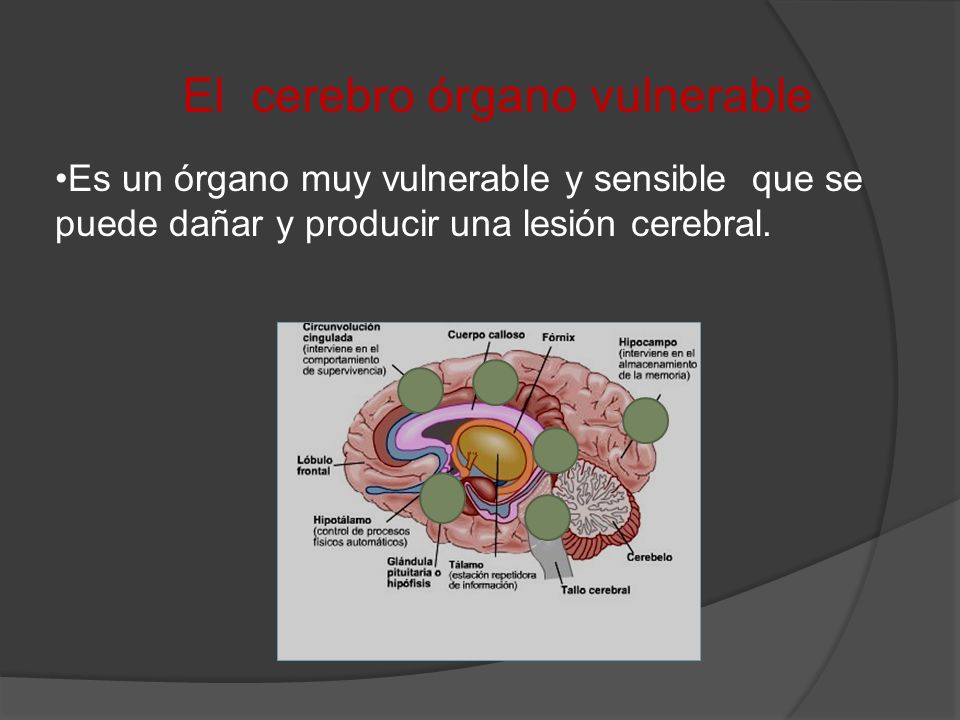 El cerebro órgano vulnerable