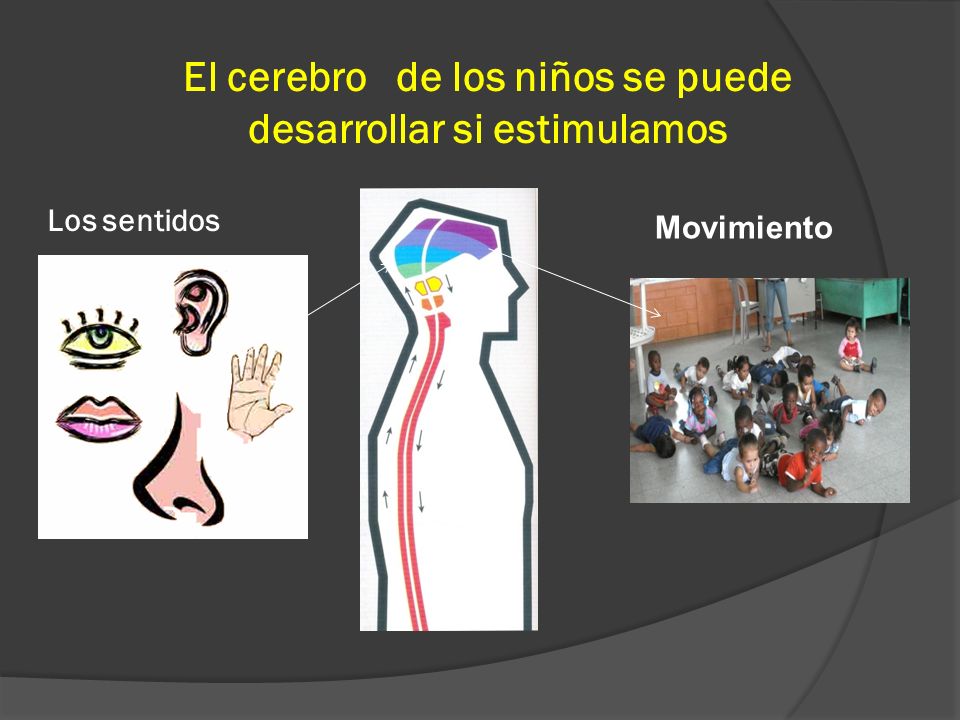 El cerebro de los niños se puede desarrollar si estimulamos