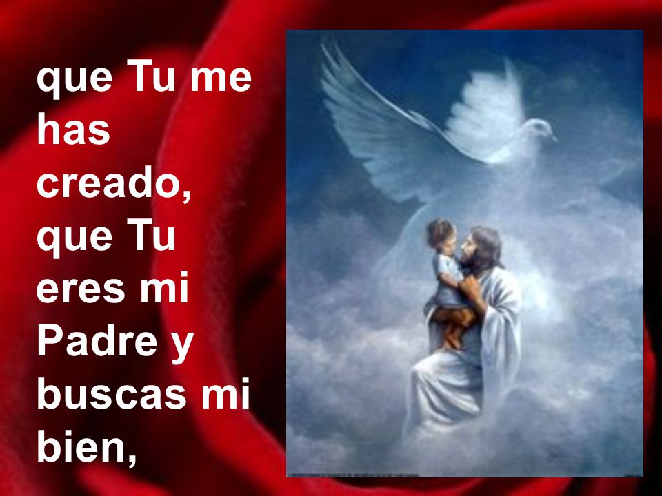 que Tu me has creado, que Tu eres mi Padre y buscas mi bien,