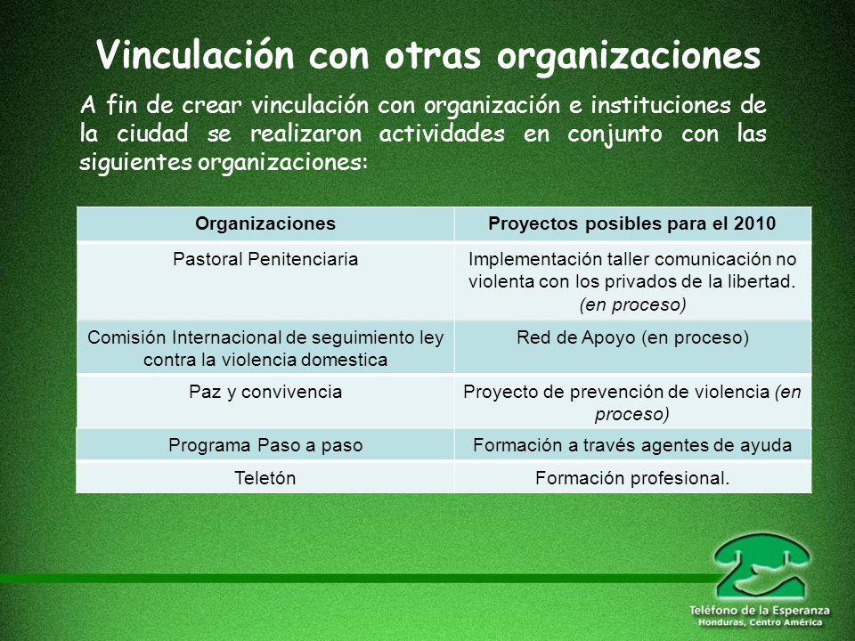 Vinculación con otras organizaciones Proyectos posibles para el 2010