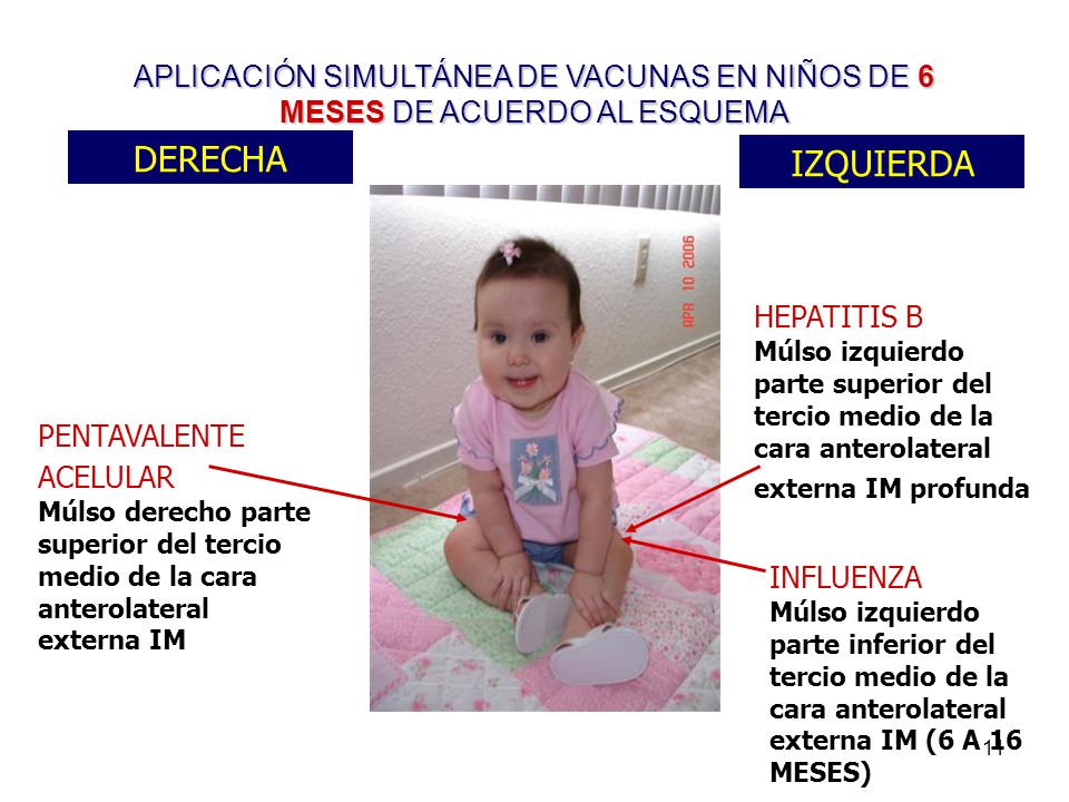 APLICACIÓN SIMULTÁNEA DE VACUNAS EN NIÑOS DE 6 MESES DE ACUERDO AL ESQUEMA