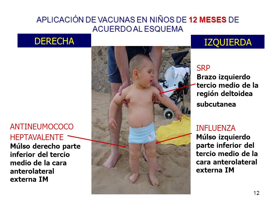 APLICACIÓN DE VACUNAS EN NIÑOS DE 12 MESES DE ACUERDO AL ESQUEMA