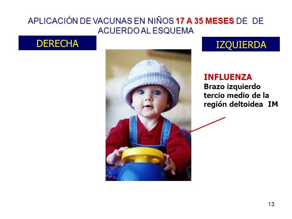 APLICACIÓN DE VACUNAS EN NIÑOS 17 A 35 MESES DE DE ACUERDO AL ESQUEMA