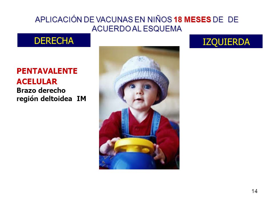 APLICACIÓN DE VACUNAS EN NIÑOS 18 MESES DE DE ACUERDO AL ESQUEMA