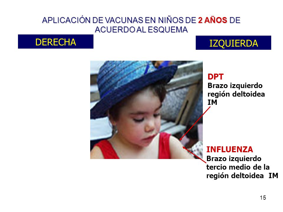 APLICACIÓN DE VACUNAS EN NIÑOS DE 2 AÑOS DE ACUERDO AL ESQUEMA