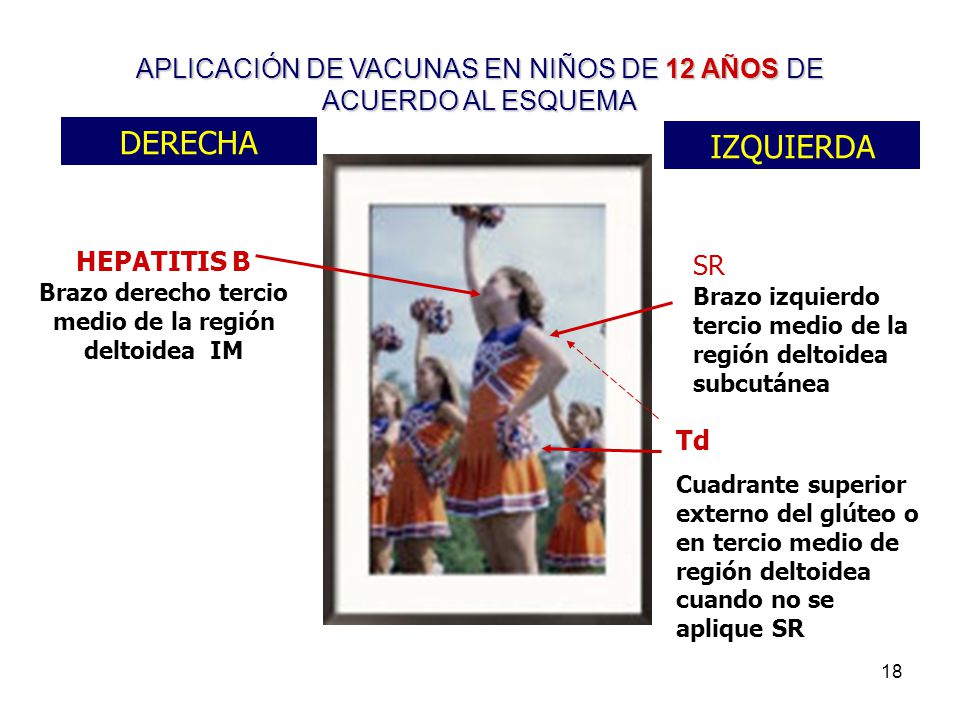 APLICACIÓN DE VACUNAS EN NIÑOS DE 12 AÑOS DE ACUERDO AL ESQUEMA