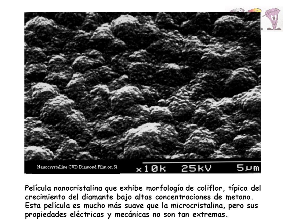 Película nanocristalina que exhibe morfología de coliflor, típica del crecimiento del diamante bajo altas concentraciones de metano.