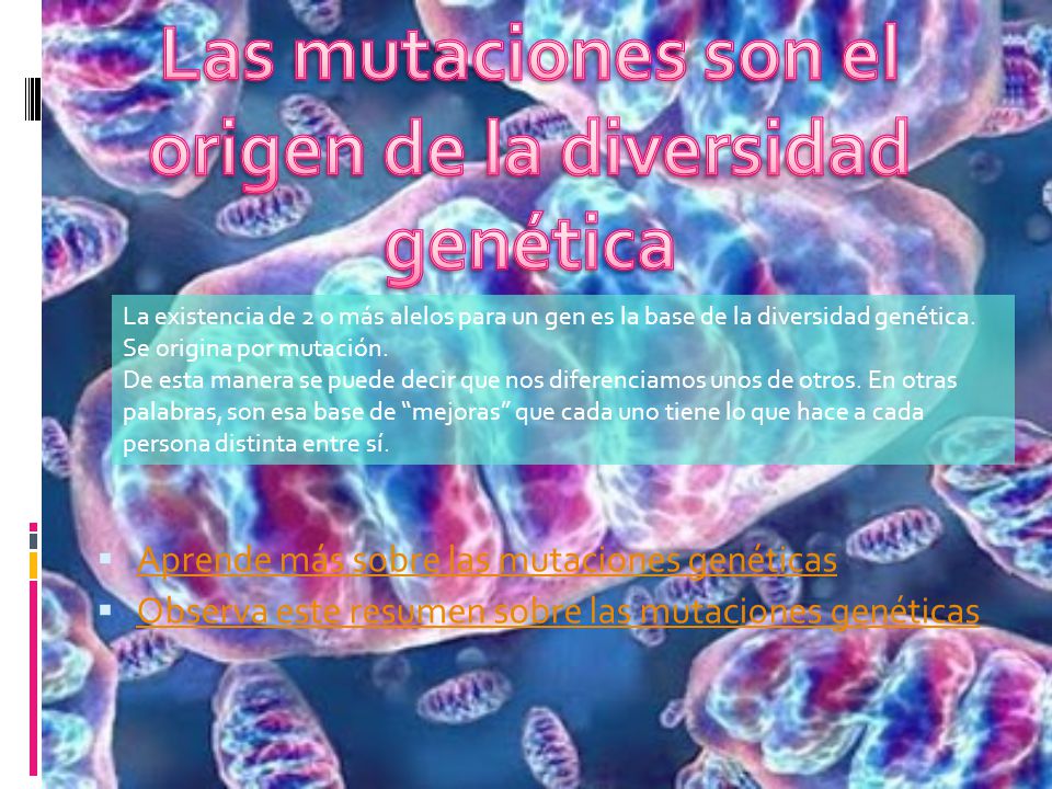 Las mutaciones son el origen de la diversidad genética