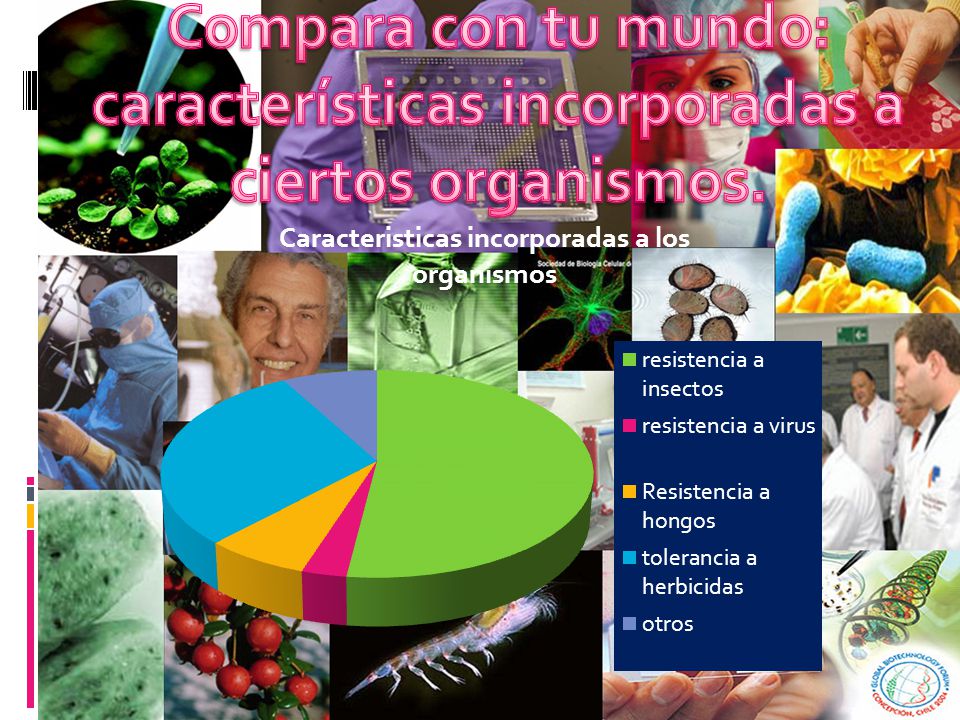 Compara con tu mundo: características incorporadas a ciertos organismos.
