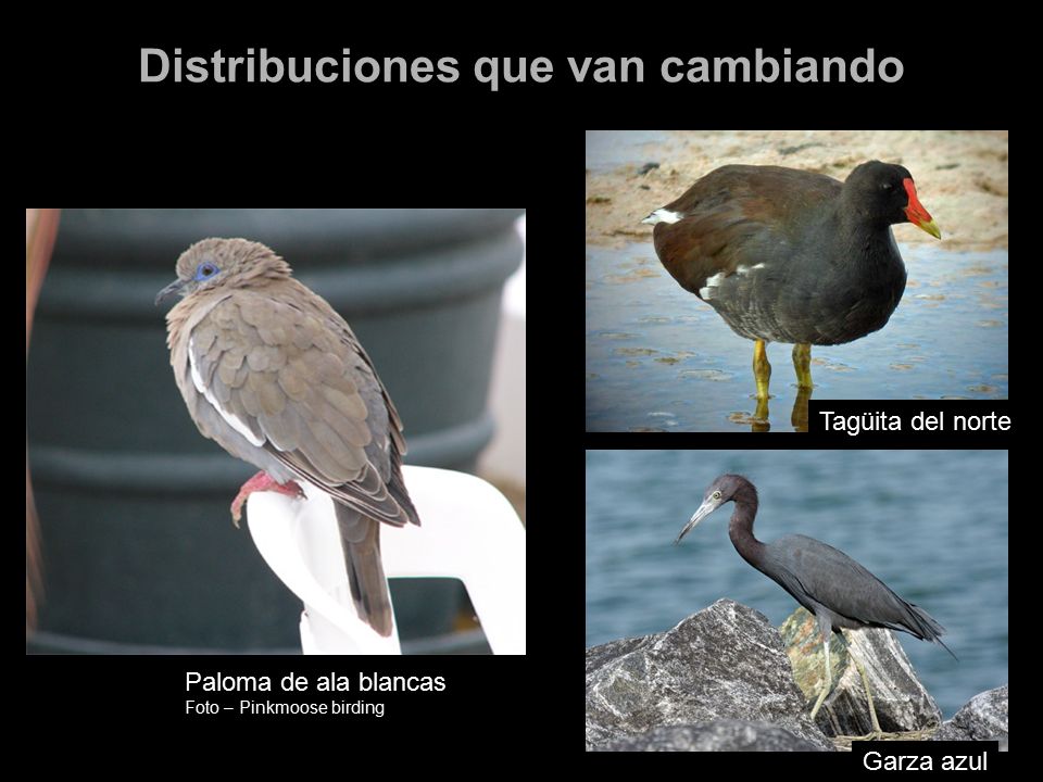 Distribuciones que van cambiando