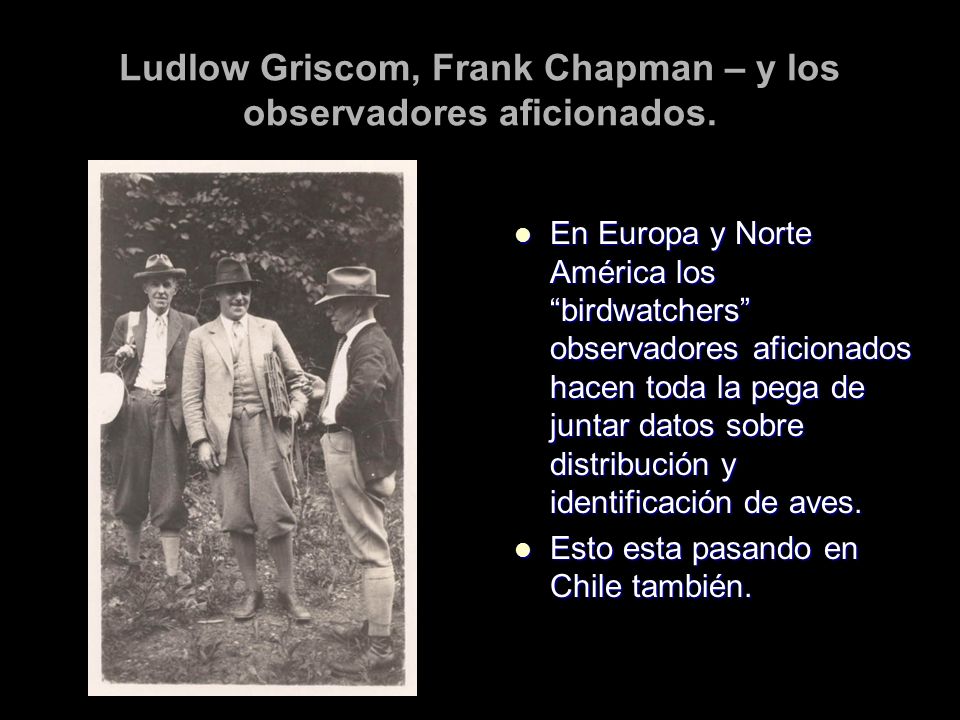 Ludlow Griscom, Frank Chapman – y los observadores aficionados.