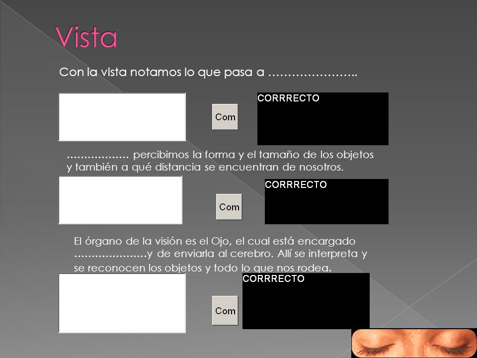 Vista Con la vista notamos lo que pasa a …………………..