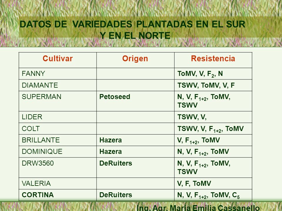 DATOS DE VARIEDADES PLANTADAS EN EL SUR Y EN EL NORTE