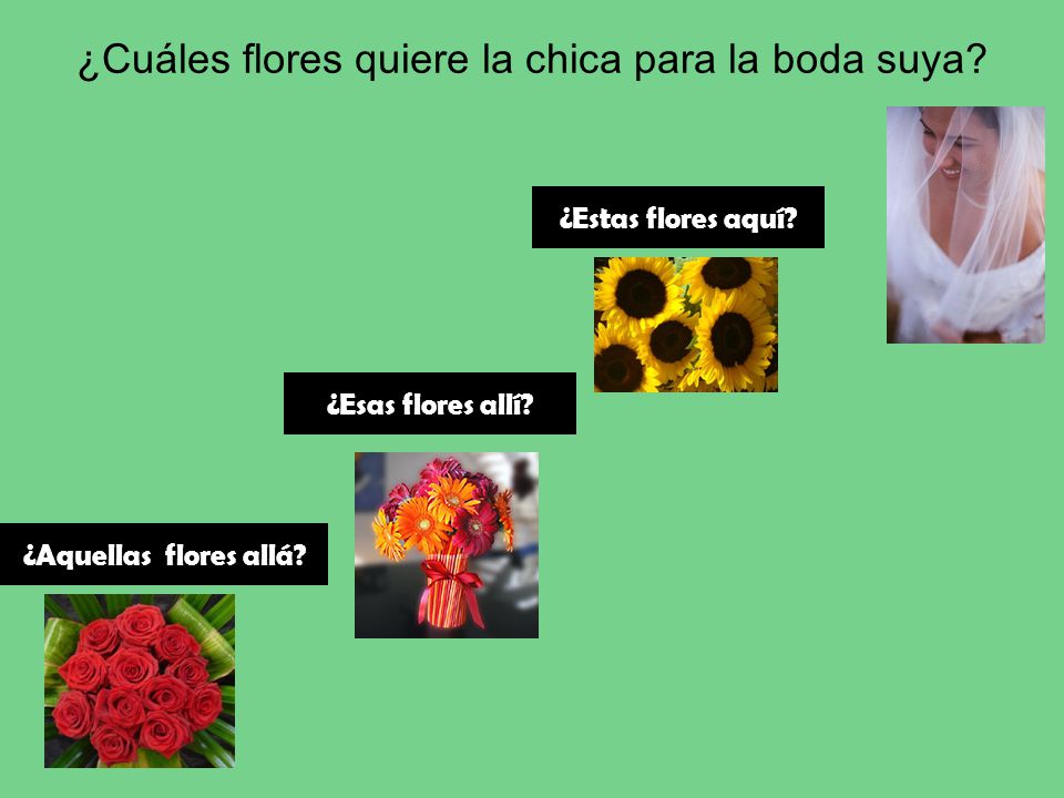 ¿Cuáles flores quiere la chica para la boda suya