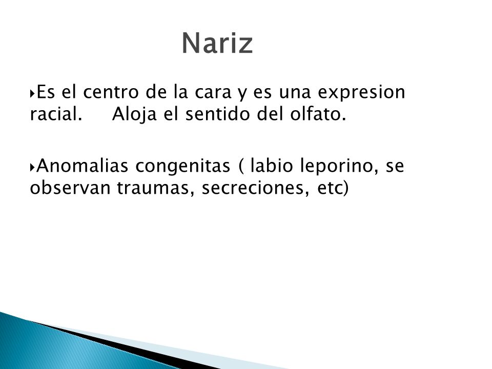 1010 Nariz. Es el centro de la cara y es una expresion racial. Aloja el sentido del olfato.