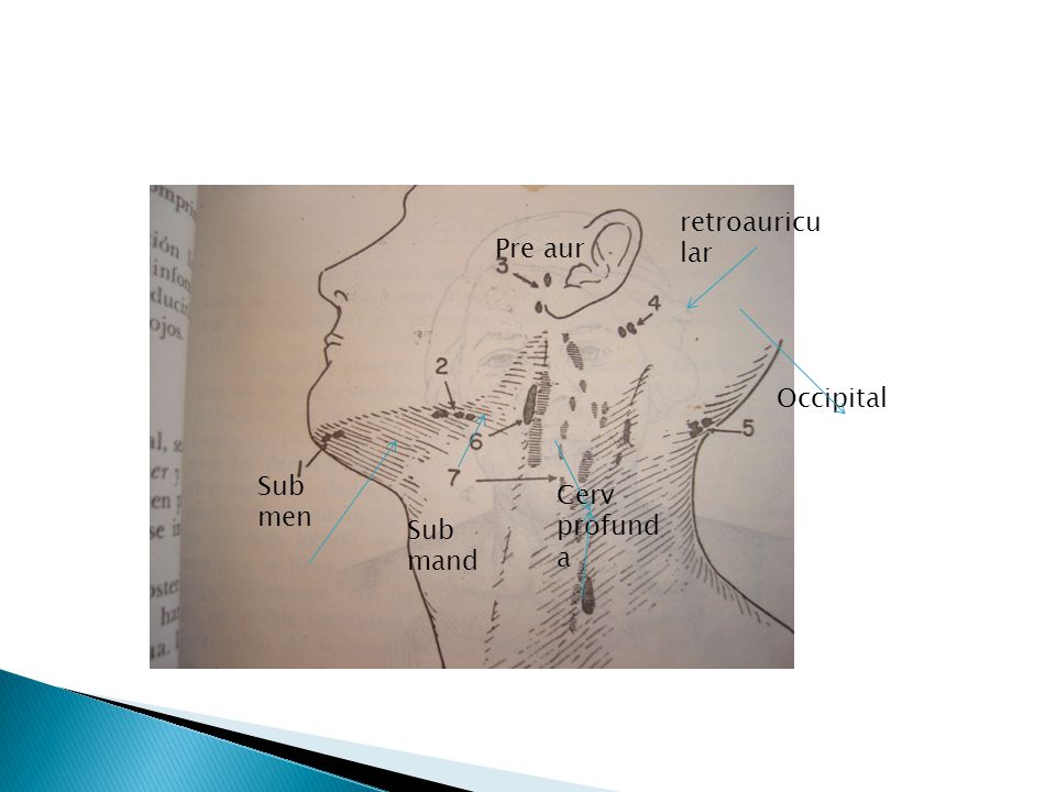 retroauricular Pre aur Occipital Sub men Cerv profunda Sub mand