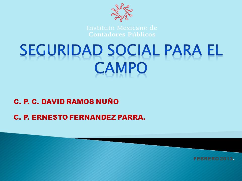 C. P. C. DAVID RAMOS NUÑO C. P. ERNESTO FERNANDEZ PARRA. FEBRERO 2013.