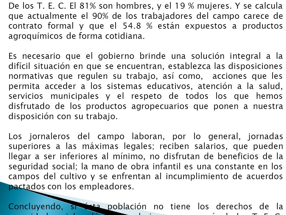 De los T. E. C. El 81% son hombres, y el 19 % mujeres