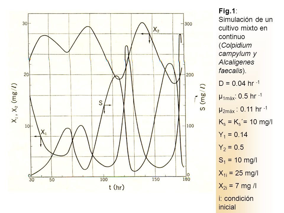 Fig.1: Simulación de un cultivo mixto en continuo (Colpidium campylum y Alcaligenes faecalis).