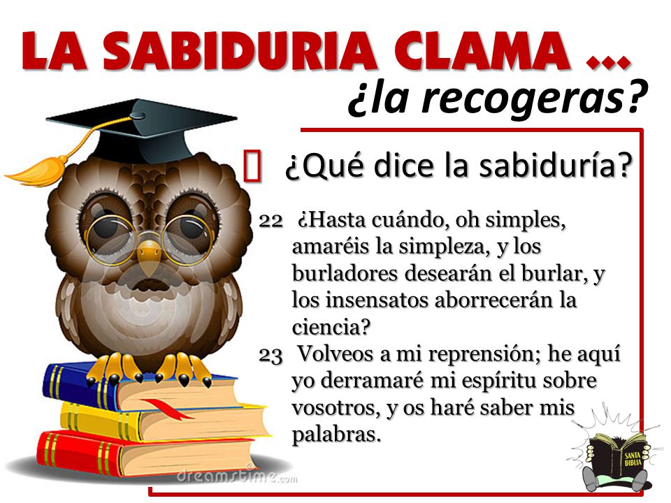 LA SABIDURIA CLAMA ... ¿la recogeras ´ ¿Qué dice la sabiduría