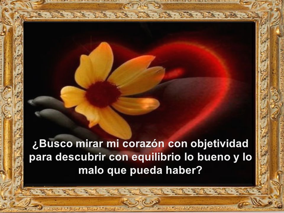 ¿Busco mirar mi corazón con objetividad para descubrir con equilibrio lo bueno y lo malo que pueda haber