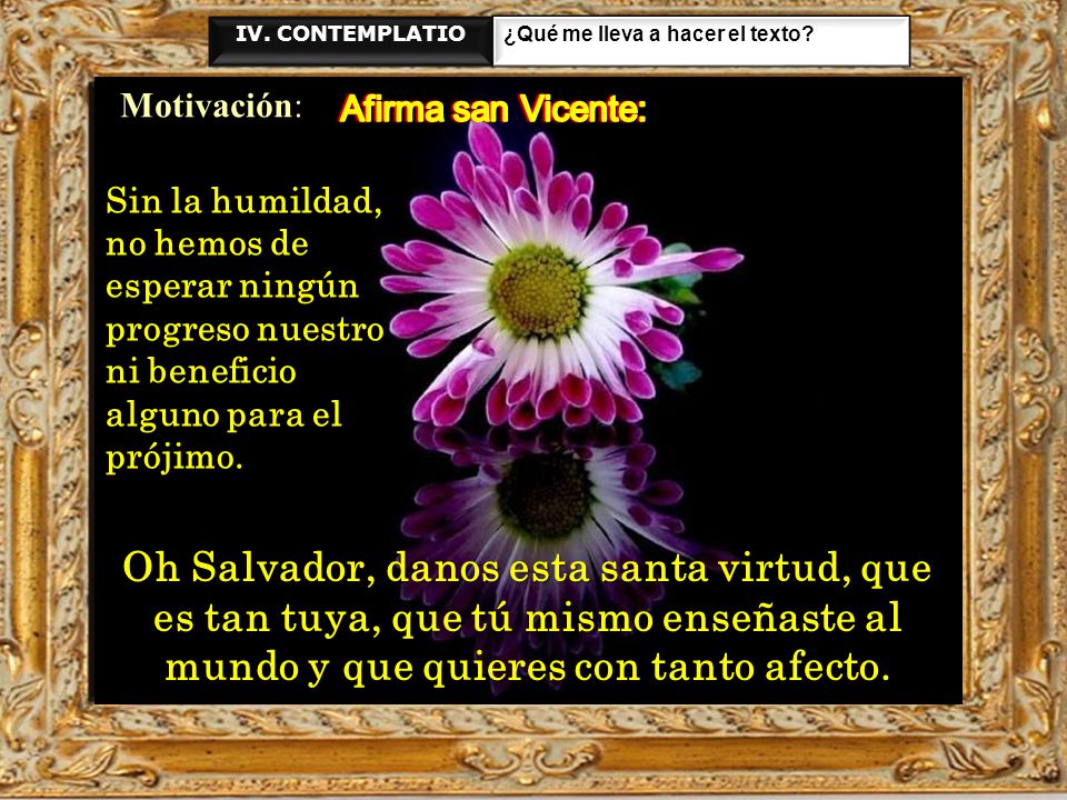 IV. CONTEMPLATIO ¿Qué me lleva a hacer el texto Motivación: Afirma san Vicente: