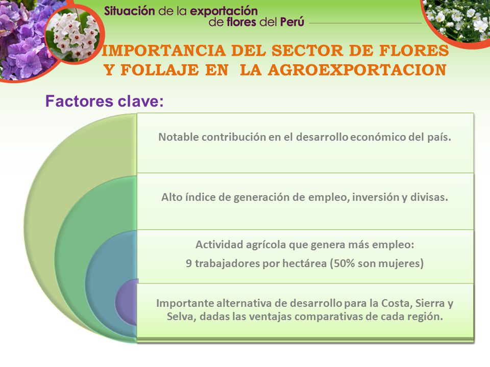 IMPORTANCIA DEL SECTOR DE FLORES Y FOLLAJE EN LA AGROEXPORTACION