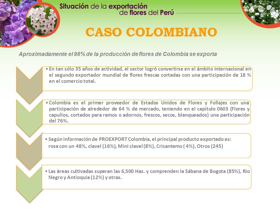 CASO COLOMBIANO Aproximadamente el 98% de la producción de flores de Colombia se exporta.