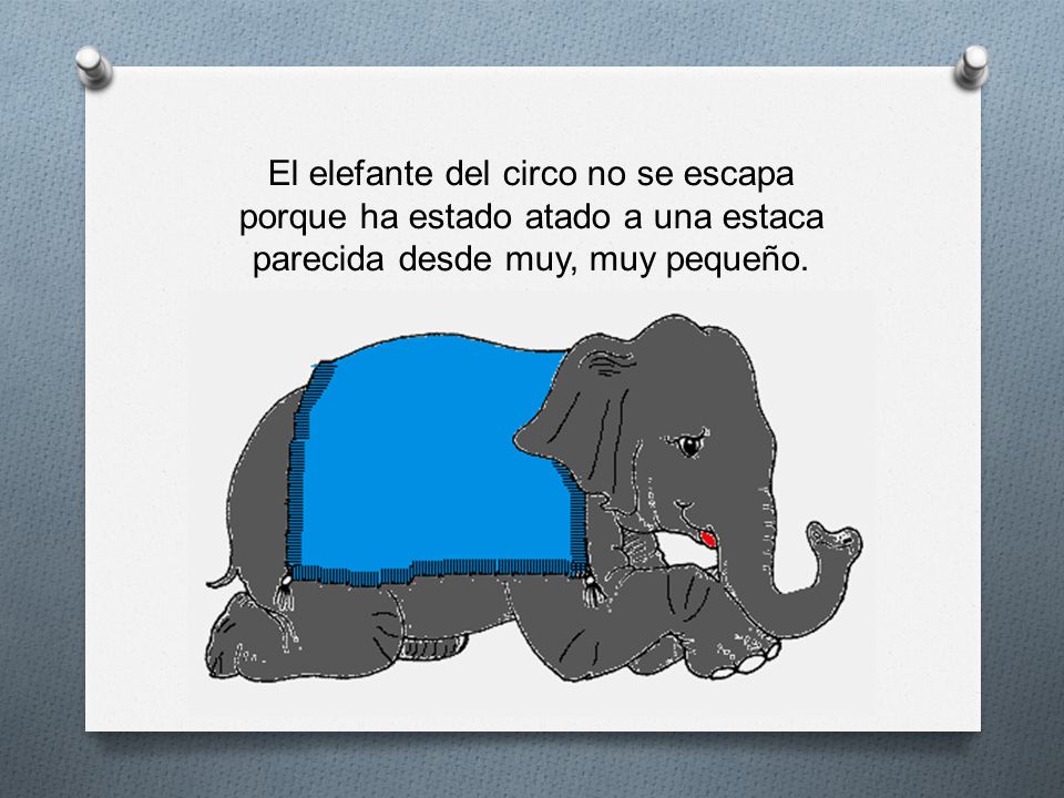 El elefante del circo no se escapa porque ha estado atado a una estaca parecida desde muy, muy pequeño.