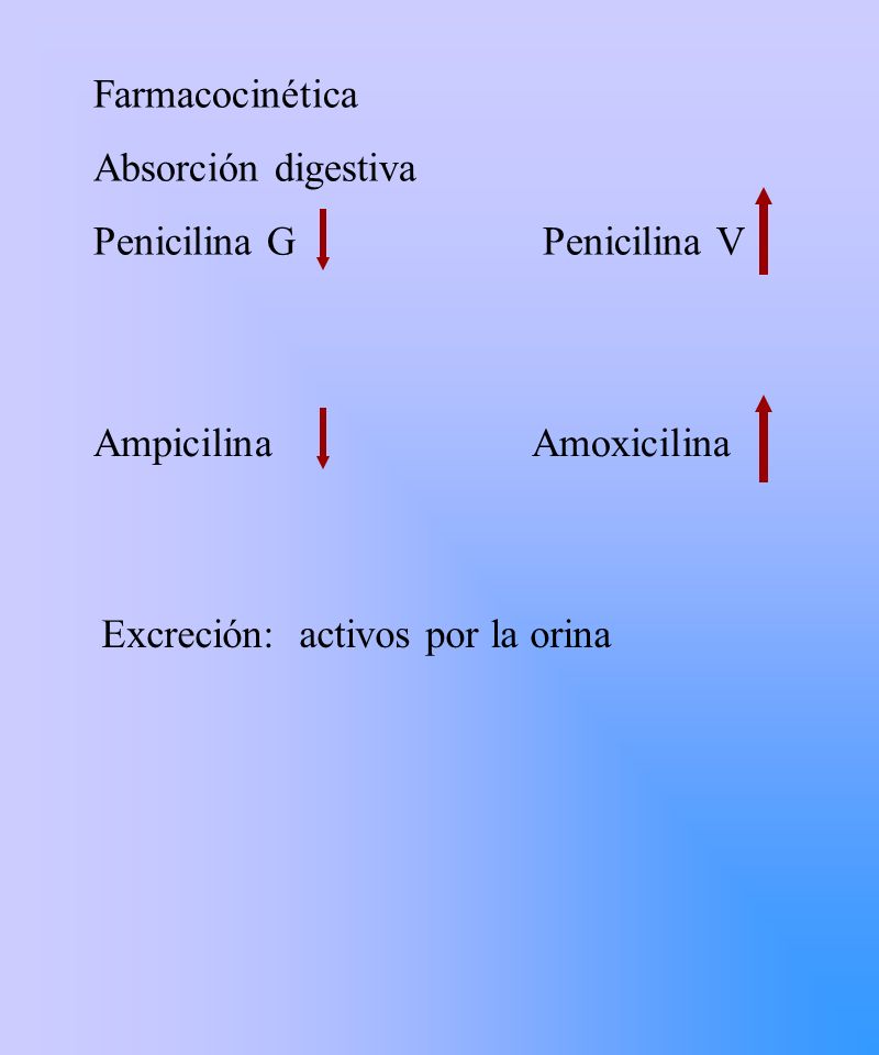 Farmacocinética Absorción digestiva. Penicilina G Penicilina V. Ampicilina Amoxicilina.