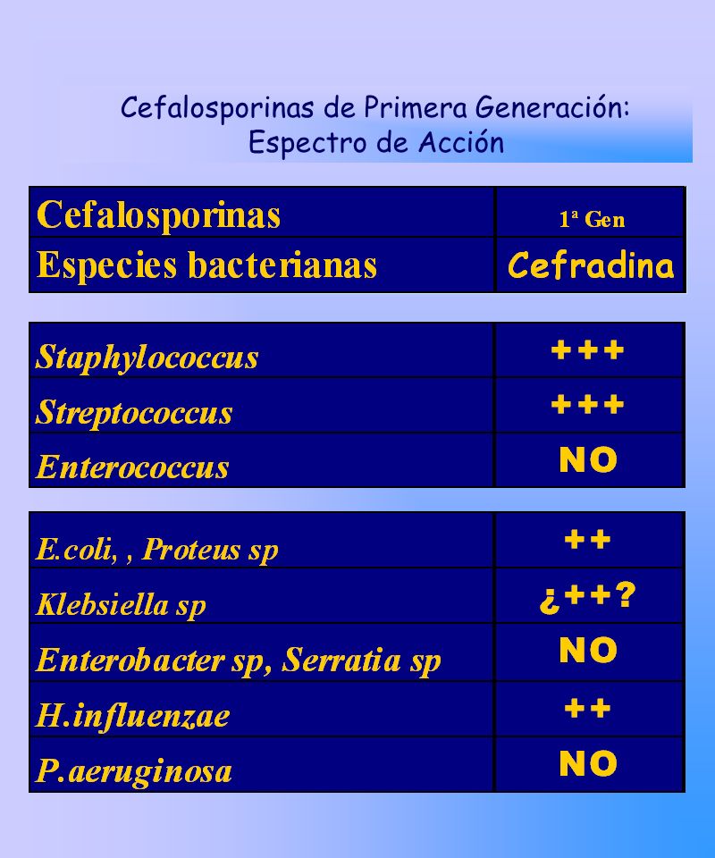 Cefalosporinas de Primera Generación: