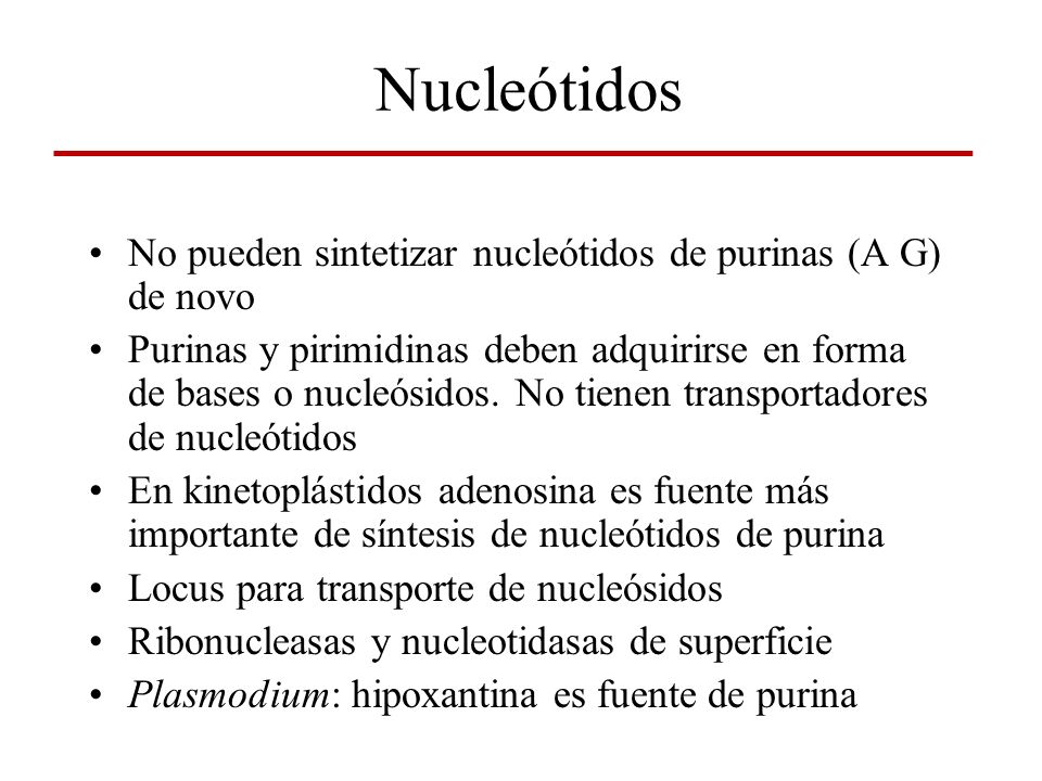 Nucleótidos No pueden sintetizar nucleótidos de purinas (A G) de novo