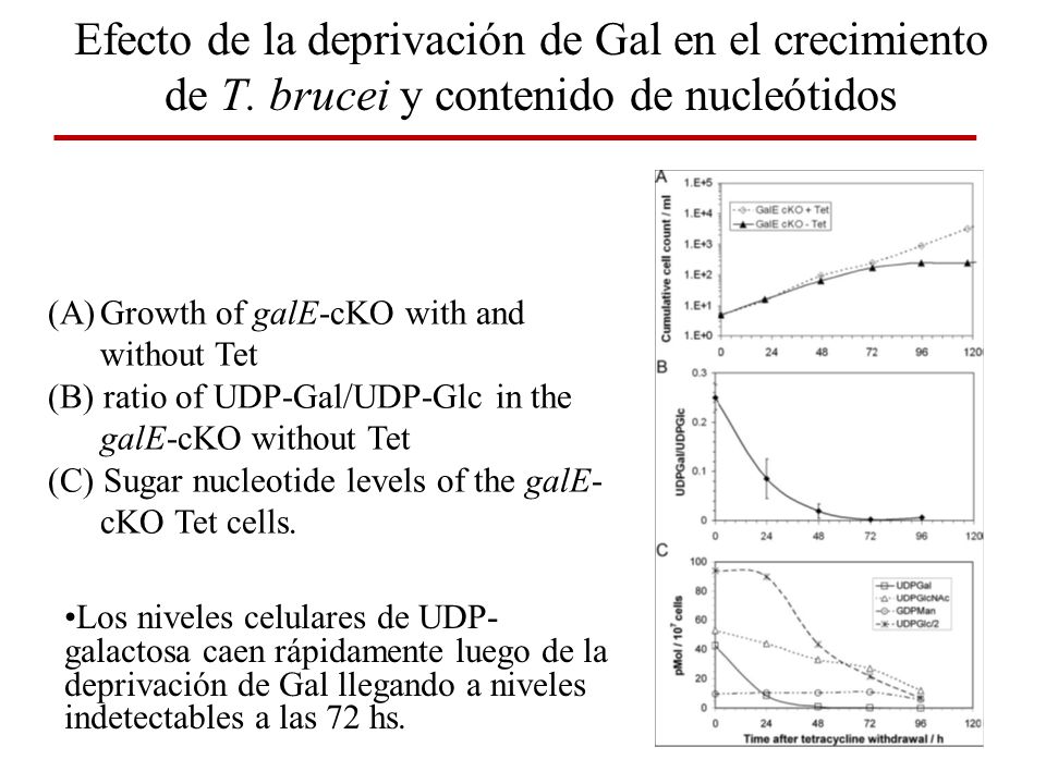 Efecto de la deprivación de Gal en el crecimiento de T