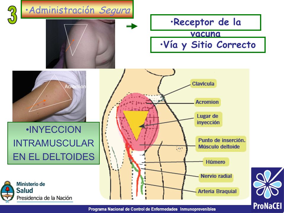 Administración Segura
