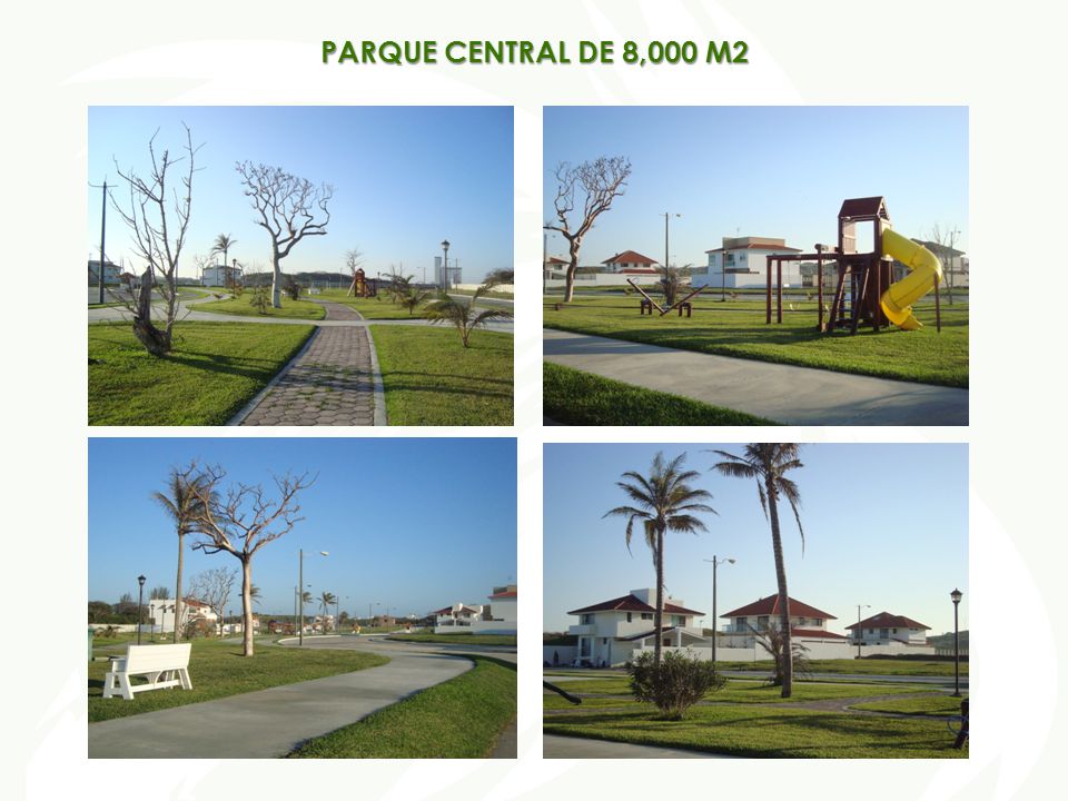 PARQUE CENTRAL DE 8,000 M2