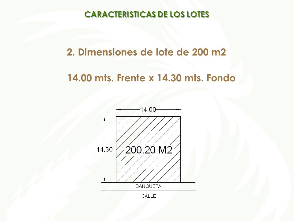 CARACTERISTICAS DE LOS LOTES 2. Dimensiones de lote de 200 m2
