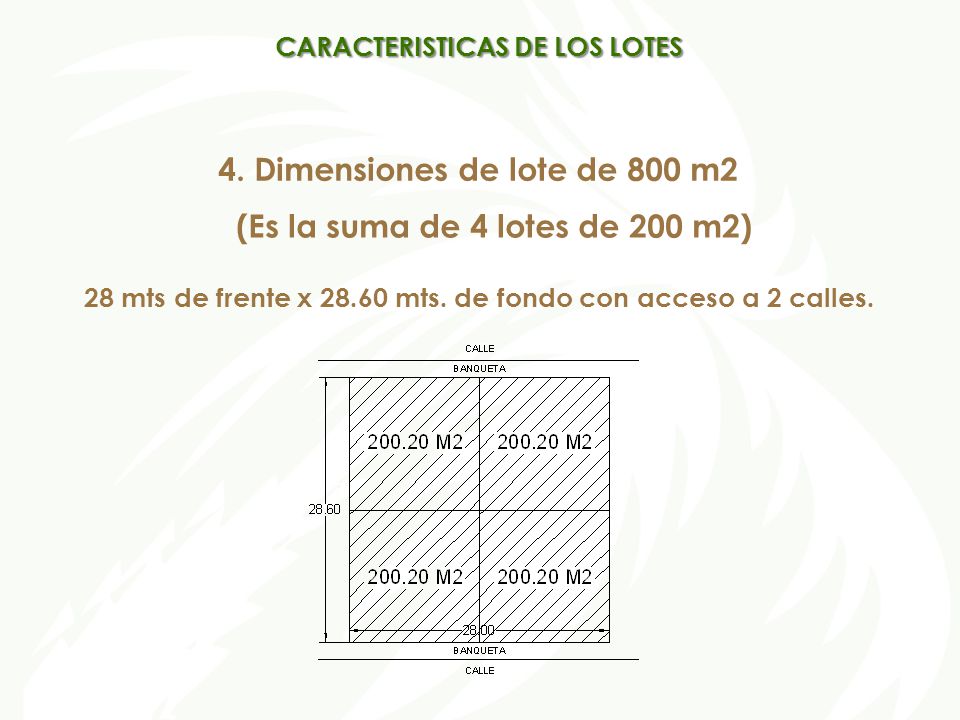 4. Dimensiones de lote de 800 m2 (Es la suma de 4 lotes de 200 m2)