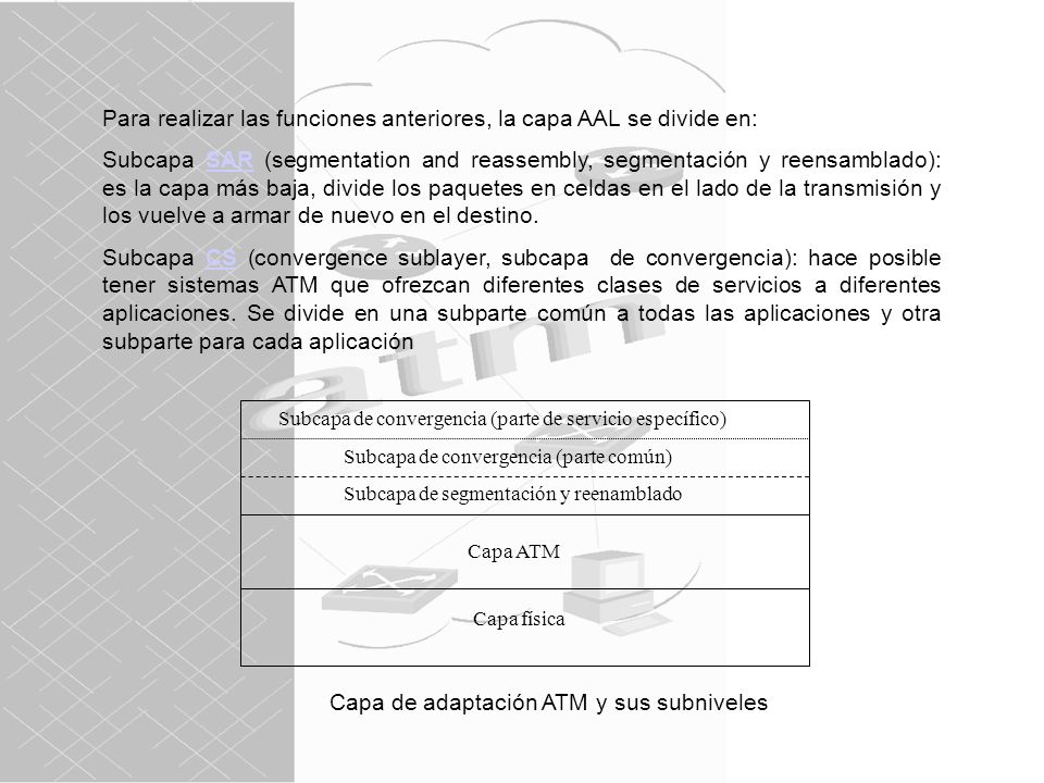 Para realizar las funciones anteriores, la capa AAL se divide en: