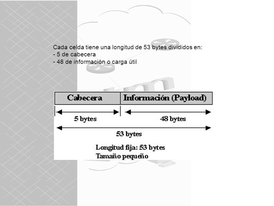 Cada celda tiene una longitud de 53 bytes divididos en: