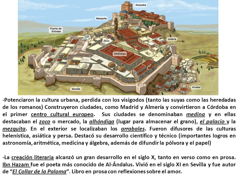 -Potenciaron la cultura urbana, perdida con los visigodos (tanto las suyas como las heredadas de los romanos) Construyeron ciudades, como Madrid y Almería y convirtieron a Córdoba en el primer centro cultural europeo. Sus ciudades se denominaban medina y en ellas destacaban el zoco o mercado, la alhóndiga (lugar para almacenar el grano), el palacio y la mezquita. En el exterior se localizaban los arrabales. Fueron difusores de las culturas helenística, asiática y persa. Destacó su desarrollo científico y técnico (importantes logros en astronomía, aritmética, medicina y álgebra, además de difundir la pólvora y el papel)