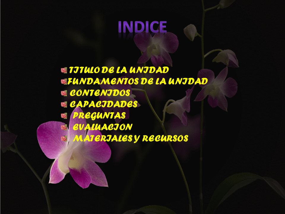 INDICE TITULO DE LA UNIDAD FUNDAMENTOS DE LA UNIDAD CONTENIDOS