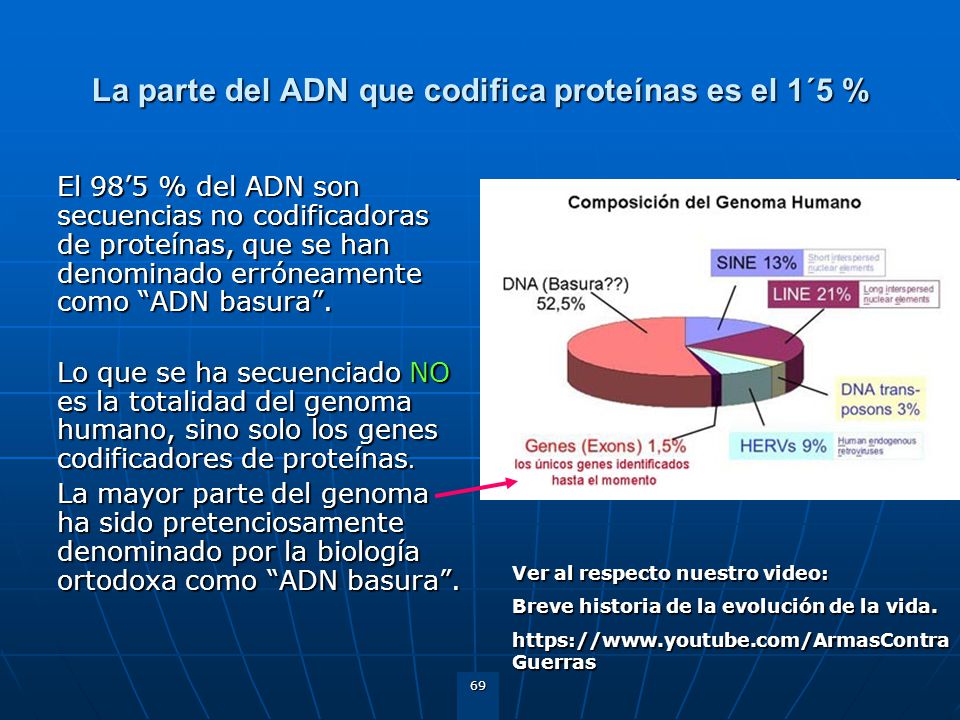 La parte del ADN que codifica proteínas es el 1´5 %