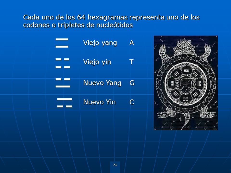 Cada uno de los 64 hexagramas representa uno de los codones o tripletes de nucleótidos
