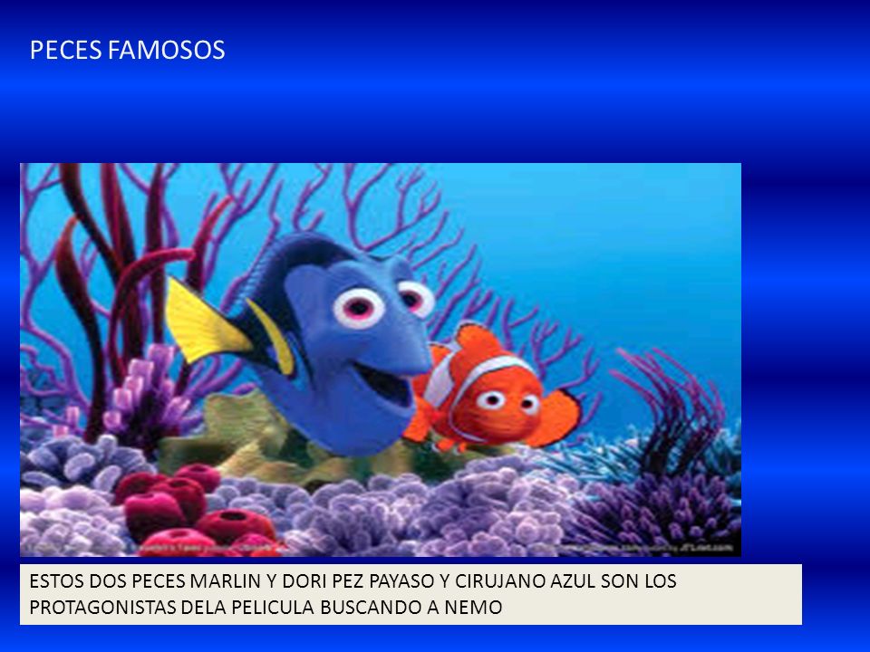 PECES FAMOSOS ESTOS DOS PECES MARLIN Y DORI PEZ PAYASO Y CIRUJANO AZUL SON LOS PROTAGONISTAS DELA PELICULA BUSCANDO A NEMO.