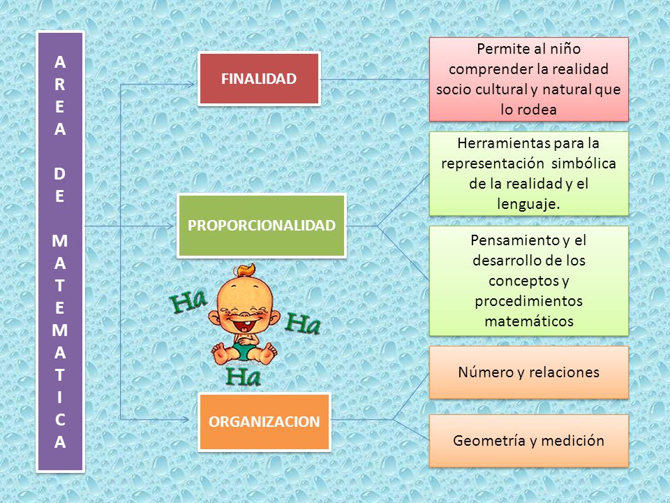 A R. E. D. M. T. I. C. Permite al niño comprender la realidad socio cultural y natural que lo rodea.