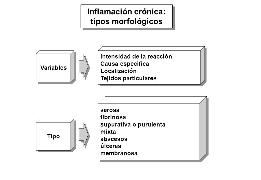 Inflamación crónica: tipos morfológicos