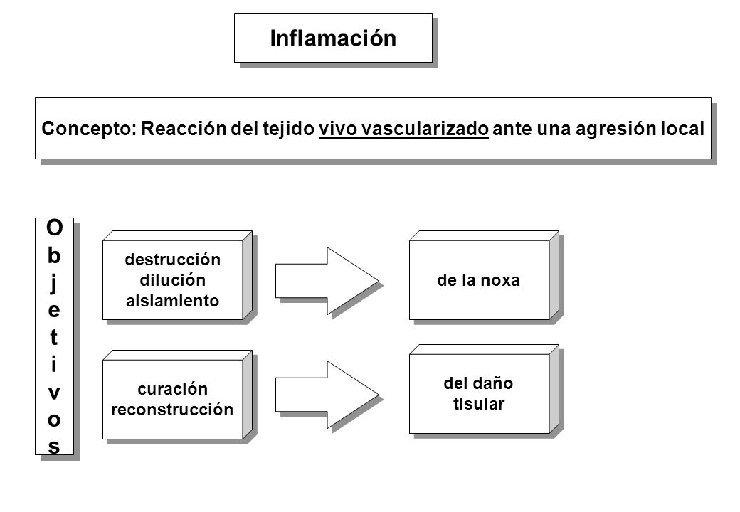 Inflamación O b j e t i v o s