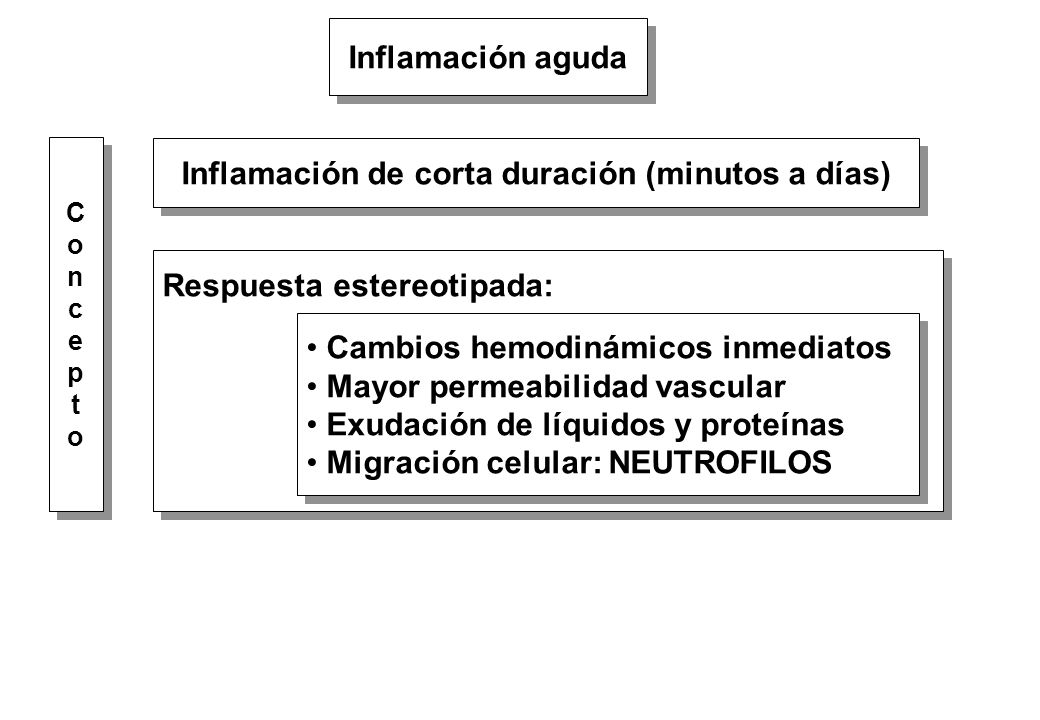 Inflamación de corta duración (minutos a días)