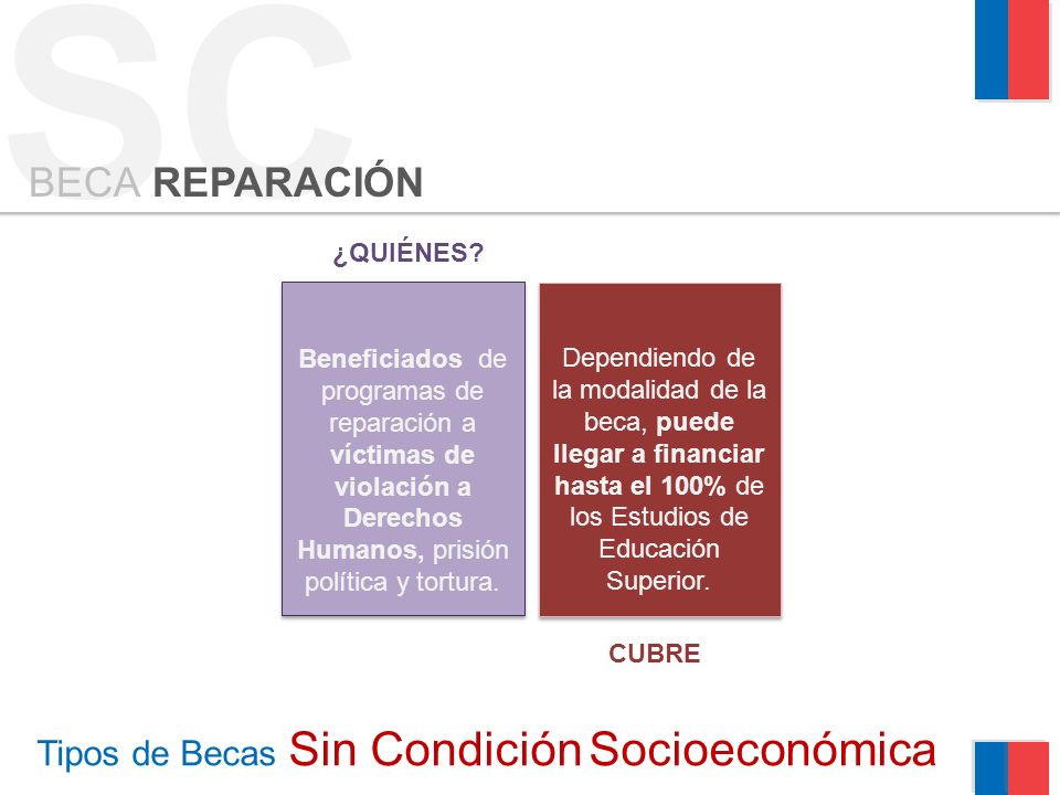 Tipos de Becas Sin Condición Socioeconómica