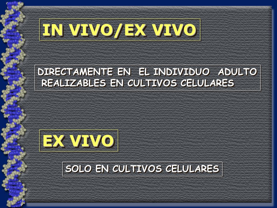 IN VIVO/EX VIVO EX VIVO DIRECTAMENTE EN EL INDIVIDUO ADULTO